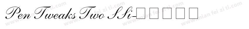 Pen Tweaks Two SSi字体转换